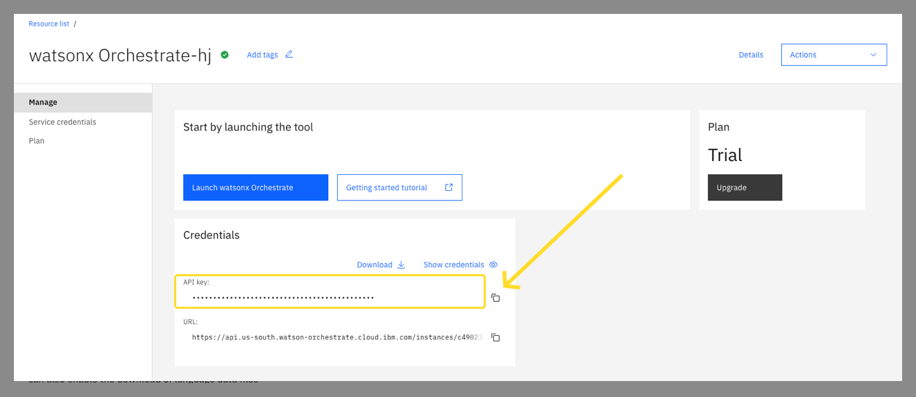 watsonx Orchestrate API key